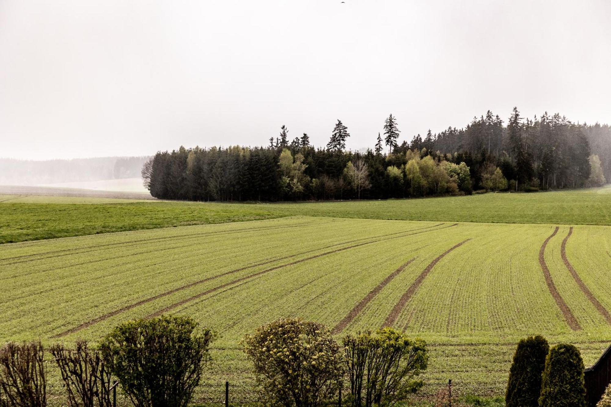 Ferienwohnung Fichtelblick Schonwald  Esterno foto